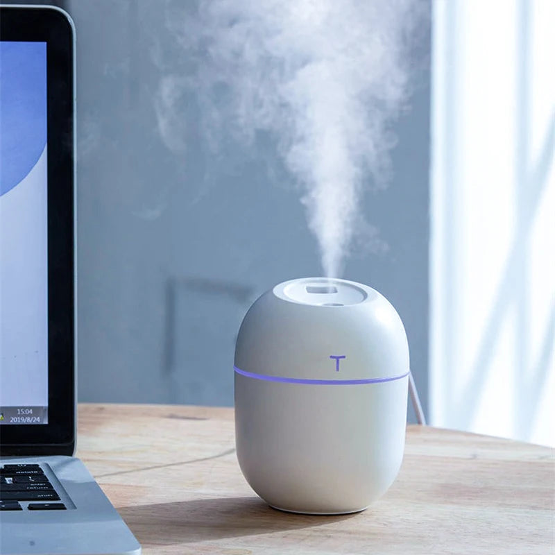 Mini Ultrasonic Air Humidifier with Essential Oil Diffuser